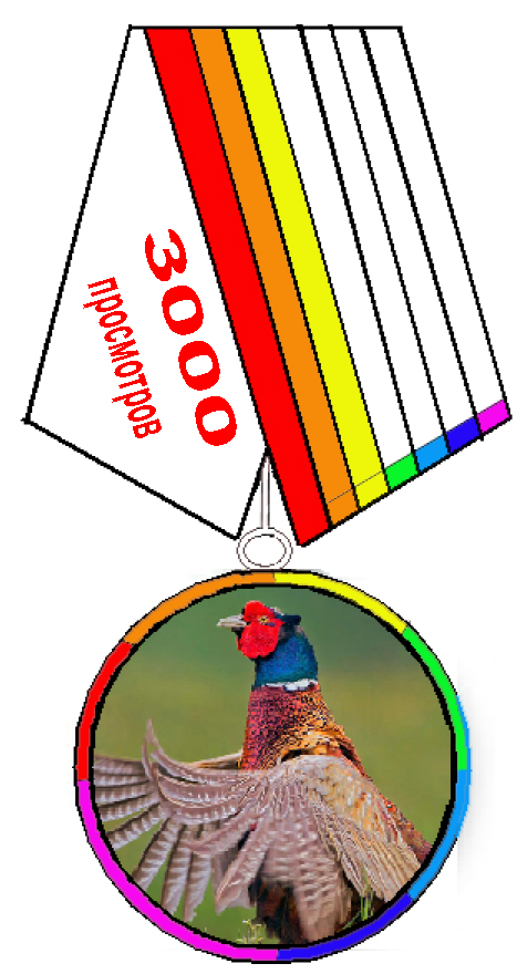 3000 Радужный фазан